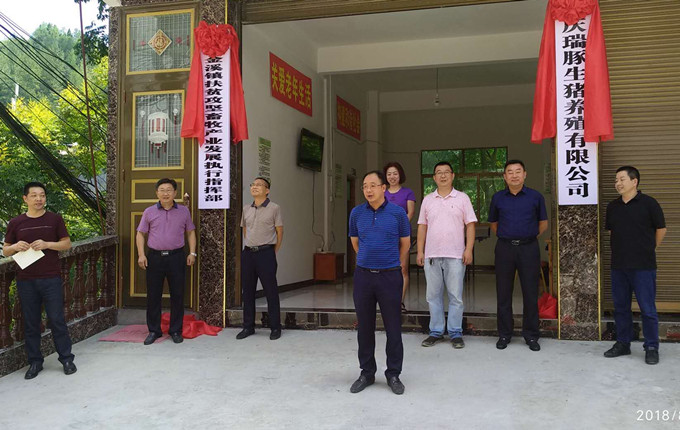 重庆69畜牧新建扶贫示范基地开工了