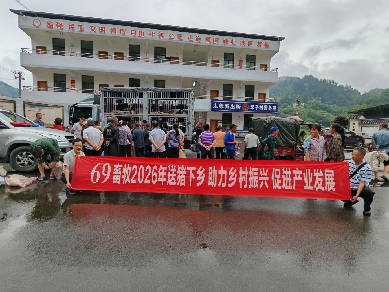 69畜牧持续开展送猪下乡助力乡村振兴